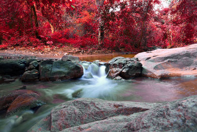 Stream flowing through rocks in forest