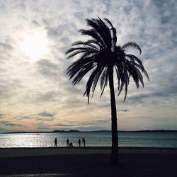 Silhouette palm tree on beach against sky during sunset