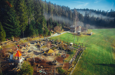 High angle view of trees on field