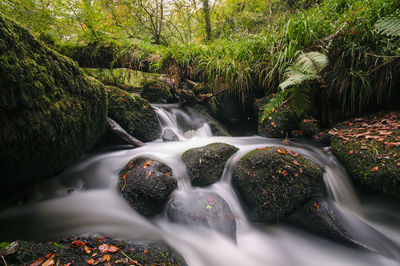 Close-up of stream flowing through rocks in forest