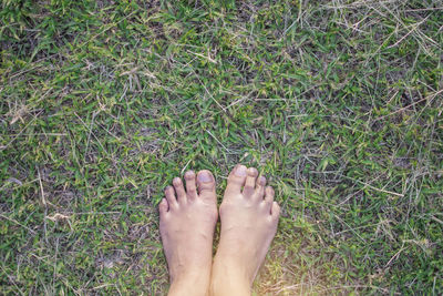 Low section of woman on grass