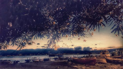 Boats moored in sea