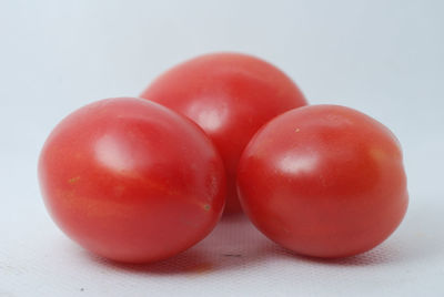 Close-up of tomatoes on white background