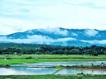 Scenic view of lake against sky
