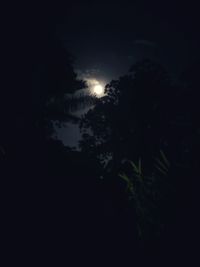 Low angle view of silhouette trees against sky at night