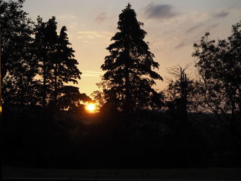 Low angle view of silhouette trees against sky during sunset