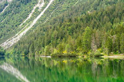 Scenic view of lake