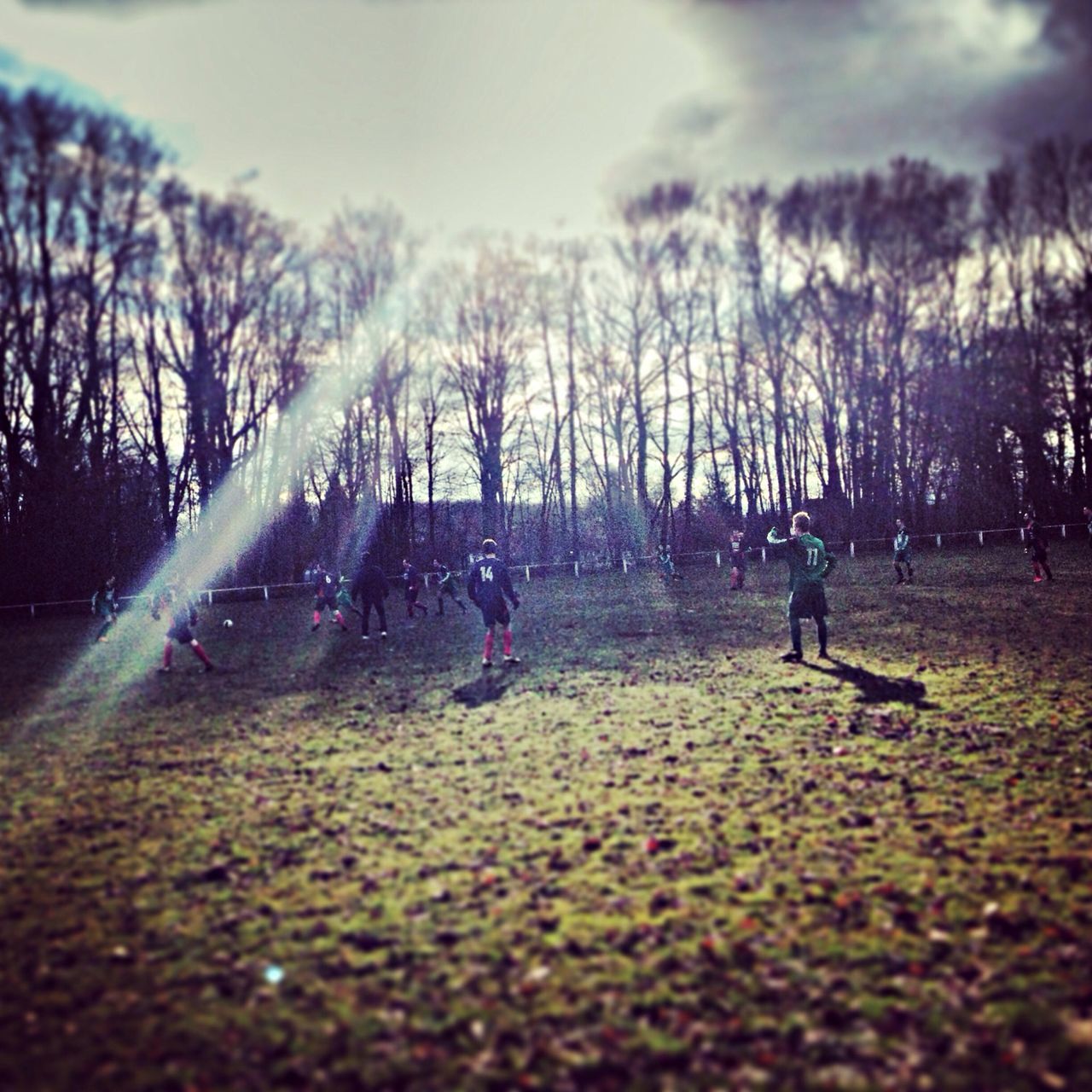 leisure activity, lifestyles, tree, field, men, sky, landscape, grass, person, togetherness, nature, tranquility, tranquil scene, bare tree, cloud - sky, walking, beauty in nature, scenics