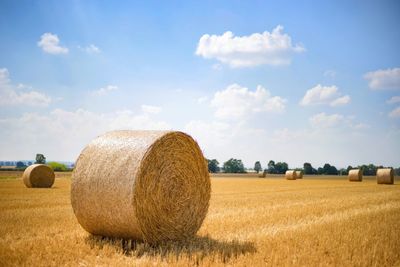 Hay bales on field against sky