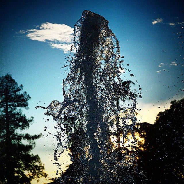 low angle view, silhouette, tree, sky, nature, growth, blue, tranquility, dusk, beauty in nature, outdoors, branch, sunlight, no people, cloud, day, scenics, cloud - sky, tranquil scene, sunset