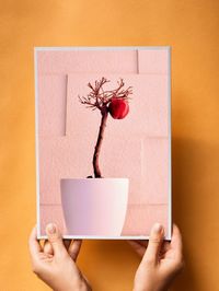 Close-up of hand holding paper hanging against wall