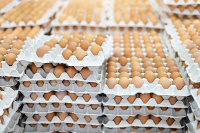 Close-up of eggs in cartons