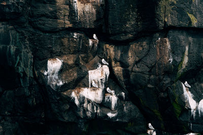 Low angle view of rock formation