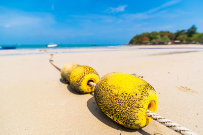 Yellow buoys at beach on sunny day