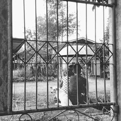 People by window against sky