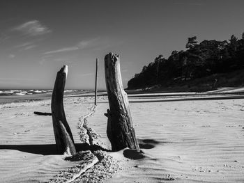 Wooden posts on beach against sky