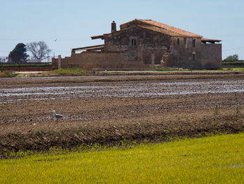 rural area