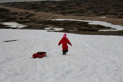 Rear view of child with sled walking on snow