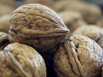 Close-up of bread