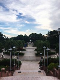Scenic view of trees against sky