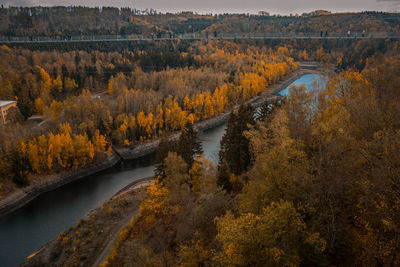 Scenic view of river amidst trees during autumn