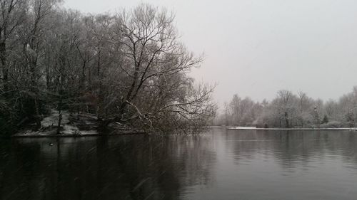 Reflection of trees in lake