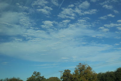 Low angle view of trees against sky