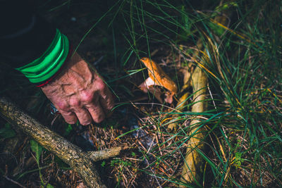 High angle view of human hand on wood