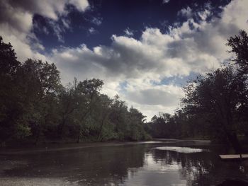 Scenic view of lake in forest against sky