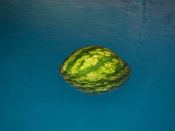 High angle view of swimming pool in sea