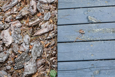 Close-up of leaves on wood against wall