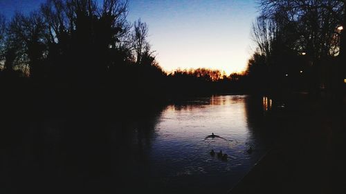 Silhouette trees by lake against sky during sunset