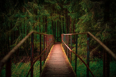 Footbridge amidst trees in forest