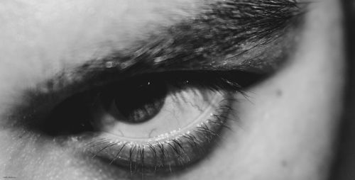 Extreme close up of human eye