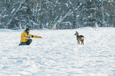 Dog on snow covered landscape