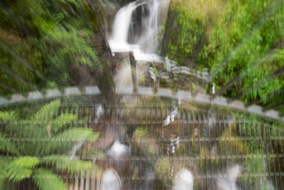 Close-up of waterfall against trees