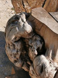 Close-up of animal sculpture on wood