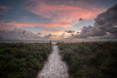 Scenic view of field against sky during sunset