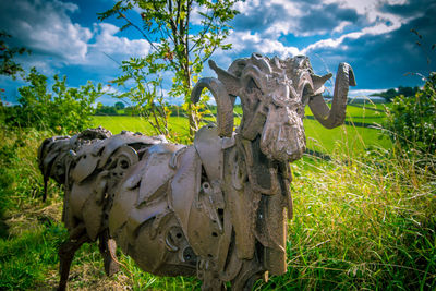 Horse on field against sky