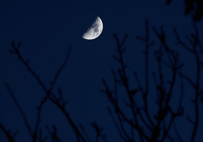 Close-up of moon against sky at night