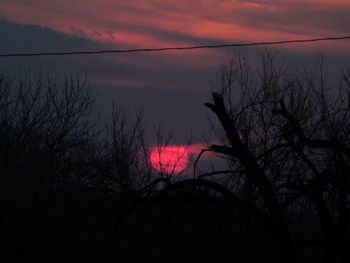 Silhouette of tree against dramatic sky