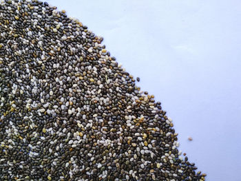 Directly above shot of seeds on table