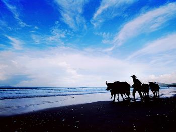 Rear view of people walking at beach against sky