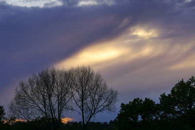 Silhouette trees against sky during sunset