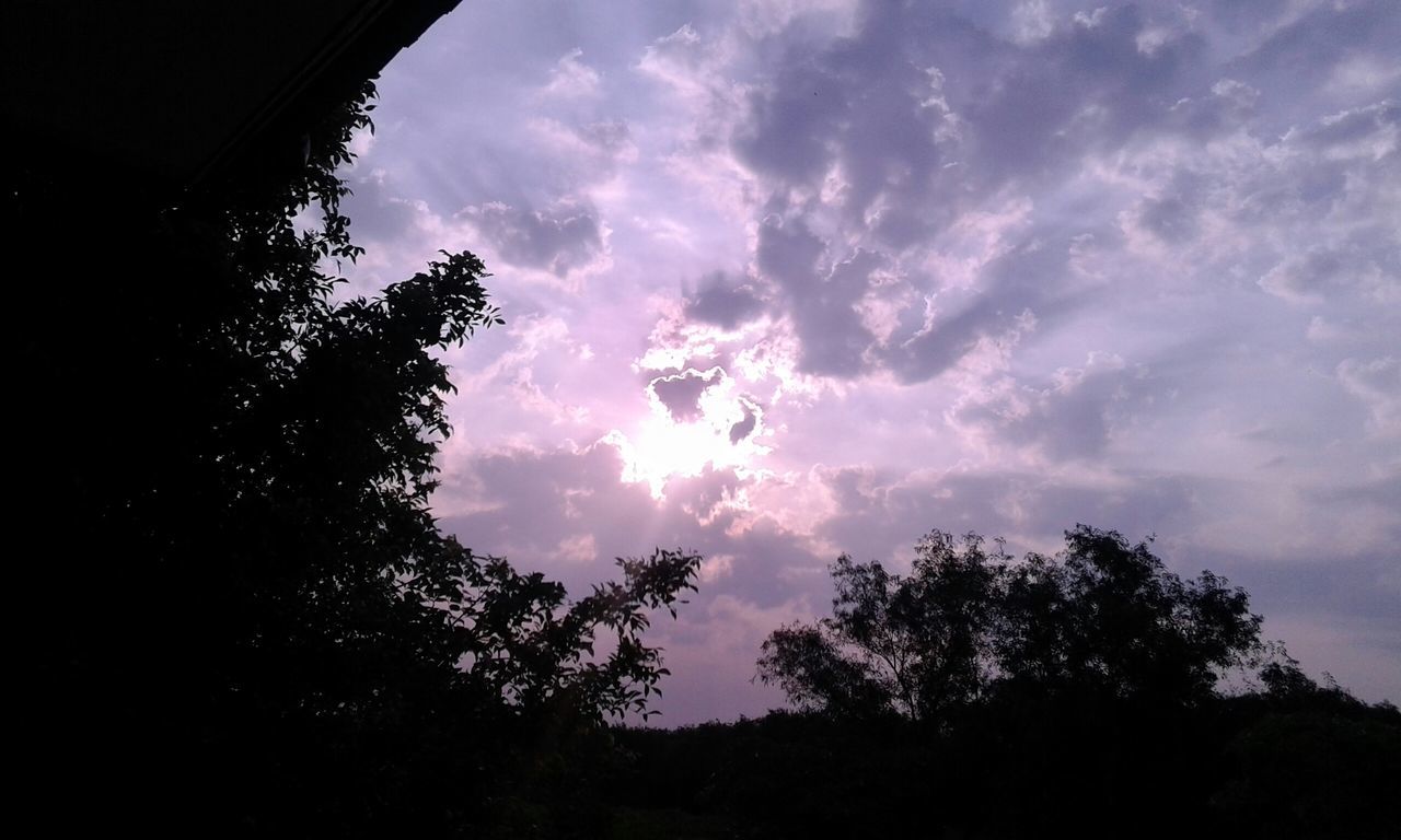 tree, silhouette, sky, cloud - sky, tranquility, beauty in nature, scenics, low angle view, tranquil scene, cloudy, nature, cloud, sunset, idyllic, dark, dusk, growth, outdoors, dramatic sky, no people