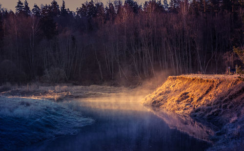 Scenic view of waterfall in forest