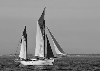 Sailboat sailing on sea against clear sky