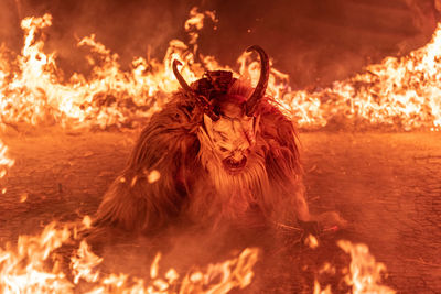 Fire. flames. krampus. christmas devils