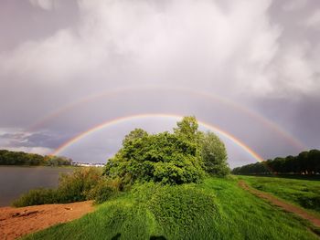 Scenic view of rainbow over trees against sky