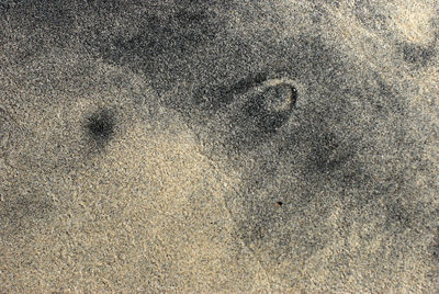 High angle view of footprints on sand